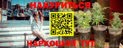 каннабис Шахты