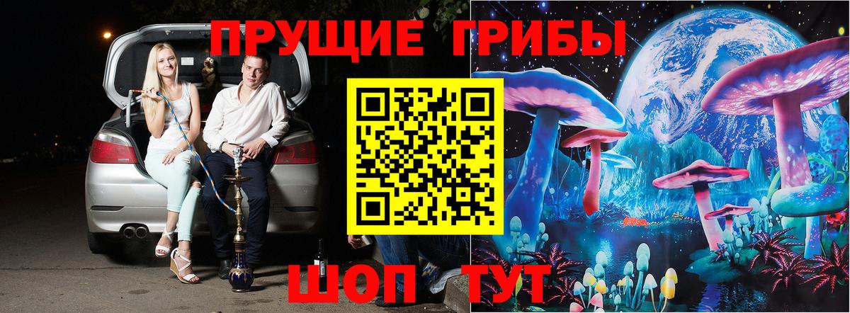 Галлюциногенные грибы прущие грибы  Вход с VPN  где купить   Будённовск  Галлюциногенные грибы Cubensis 