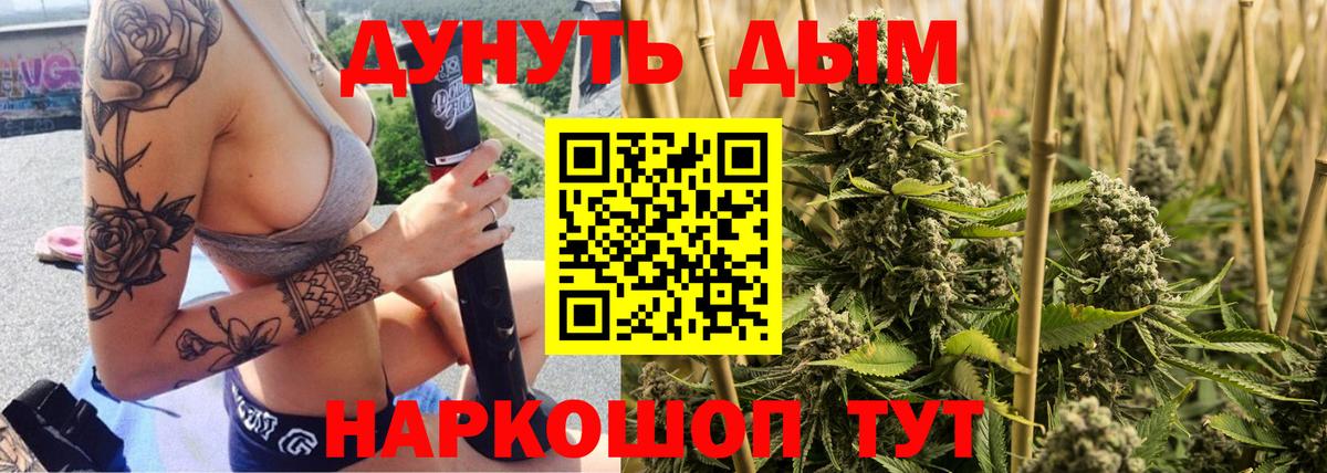 Бошки Шишки AK-47  Бошки марихуана планчик  Вход с VPN  Будённовск  Канабис сатива  Канабис планчик 